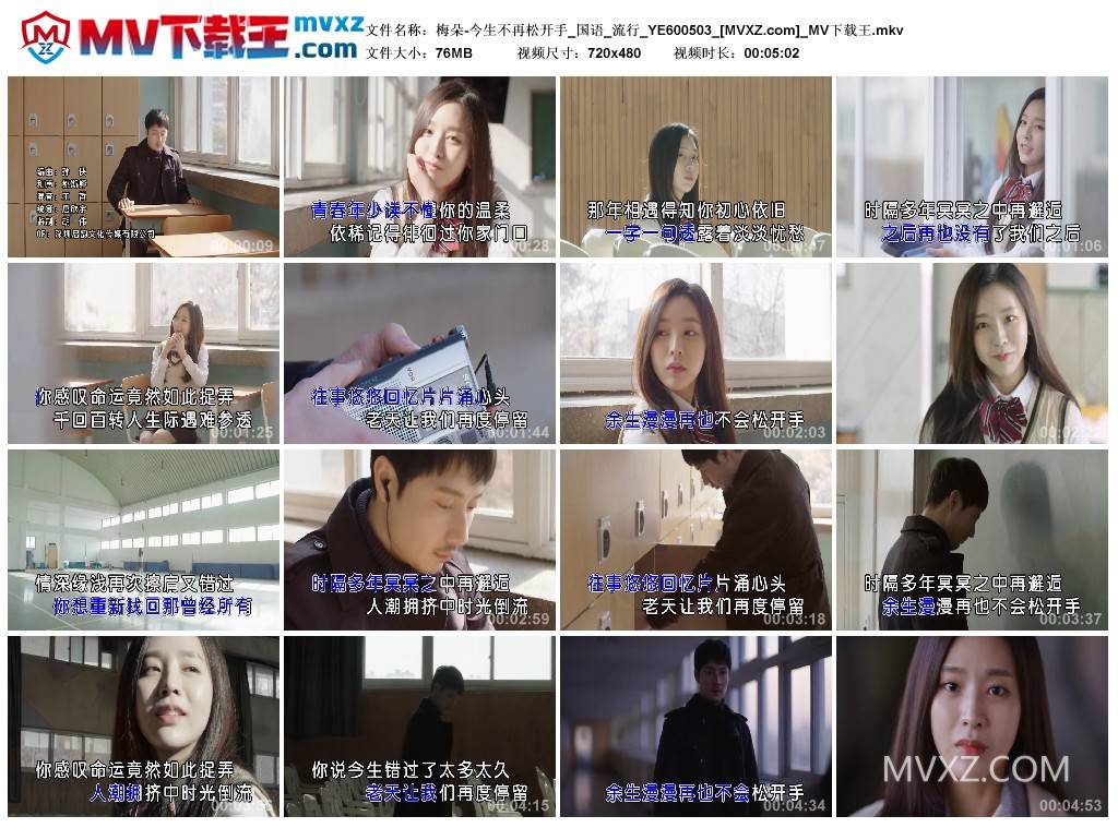 梅朵-今生不再松开手_国语_流行_YE600503